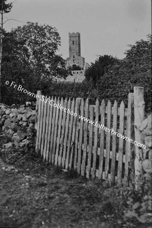 KILCONNELL FRIARY   FROM THE VILLAGE